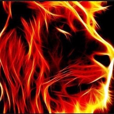 God Family Country Love God N Israel N Making people Smile Blest By The Best! Jesus Lion of Judah! My Lord N Savior Saved by Grace Rapture Ready Amen NO DMs