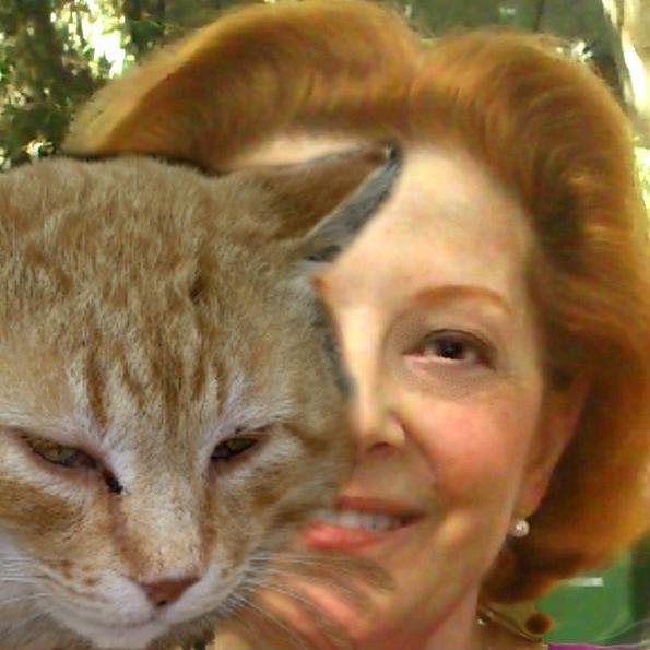 andanix's profile picture. 