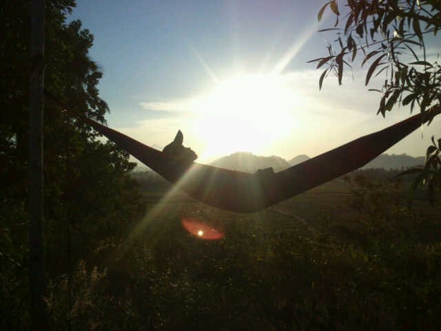 Bulan dan ksatria