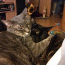 Carrie Mann - @cteresem - Twitter