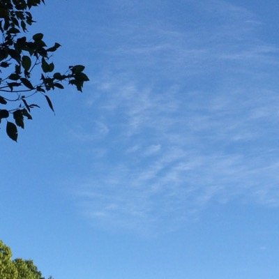 shino104's profile picture. Miyazaki Japan