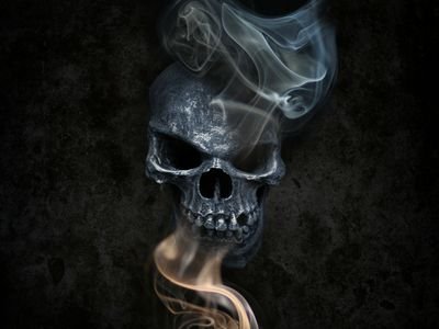 noah078745's profile picture. 