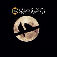 ربي ارحم عذبي الصباح (@wqf_d3a2) Twitter profile photo