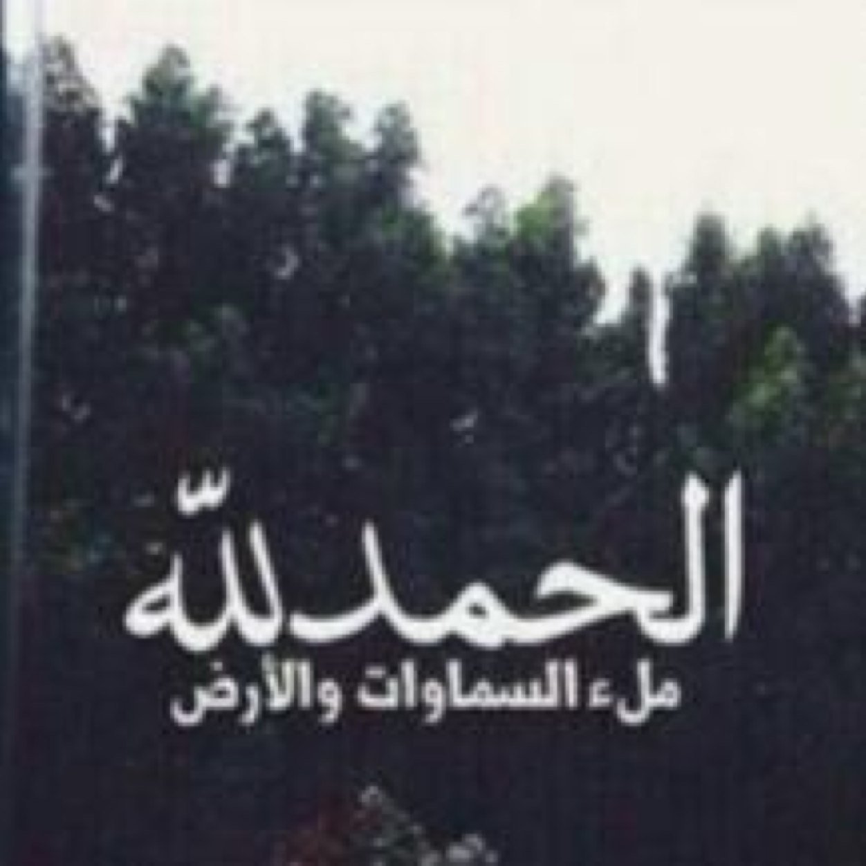 اللهم اغفر لهم وارحمهم، وعافهم واعف عنهم، وأكرم نزلهم، ووسع مدخلهم، واغسلهم بالماء والثلج والبرد، ونقهم من الذنوب والخطايا كما ينقى الثوب الأبيض من الدنس