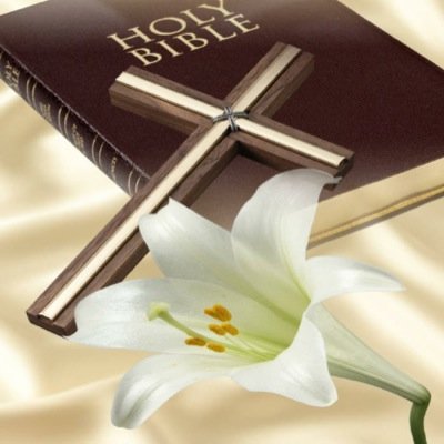 WordPowerDaily's profile picture. According to Proverbs 6:2, we are snared by the words of our mouths. What we speak has the power to shape and change our lives.