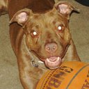 Patty Hill-Banko - @BankoHill - Twitter