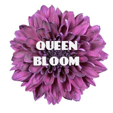 Queen Bloom is a blog that brings natural birth control awareness to young women who want to stop taking hormones & still enjoy sex without worries.