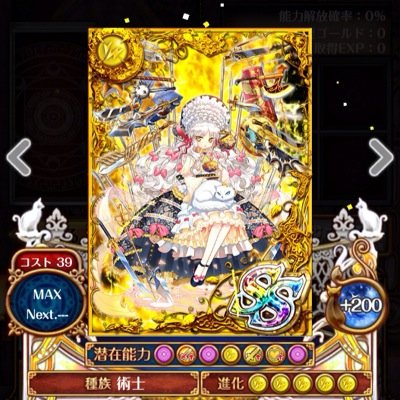 黒猫のウィズアカウント Lv228 無課金 トーナメント13段 大学4回生 大阪