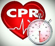 LIFELINECPRAED's profile picture. 