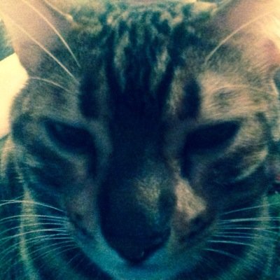 banderson0425's profile picture. 