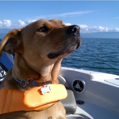 lbmcaus's profile picture. 