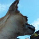 Kaylee Deleon-zuniga - @kay200607 - Twitter