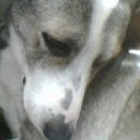 Jhon James Osorio Ot - @JamesOsorio472 - Twitter