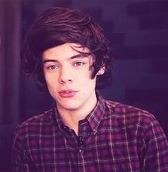 follow @mybralloheart or i unfollow