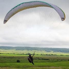 Singlem0de's profile picture. just a dreamer