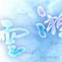 H i r o (@hiros291) 's Twitter Profile Photo
