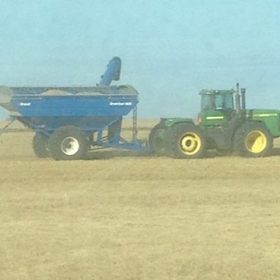 Twinkleberry18's profile picture. 