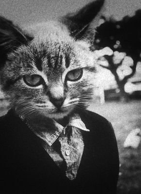 witch,wife,mother,friend,lover of cats, vegetarian believer in animal rights and against animal cruelty.