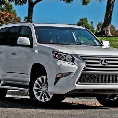 8008xxxx's profile picture. 