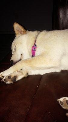 mistydbrown77's profile picture. 