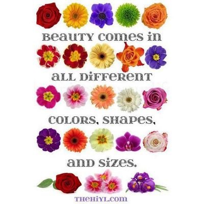 hummingwww's profile picture. Loyal