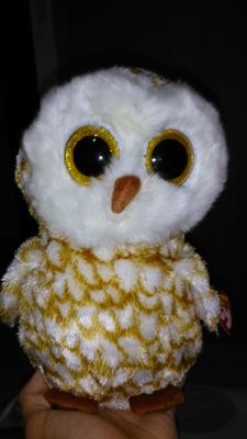 I'm an owl