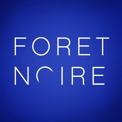 foretnoiredanse's profile picture. The duo Foret Noire sets itself apart by pushing the boundaries of waacking in innovative ways since 2009.