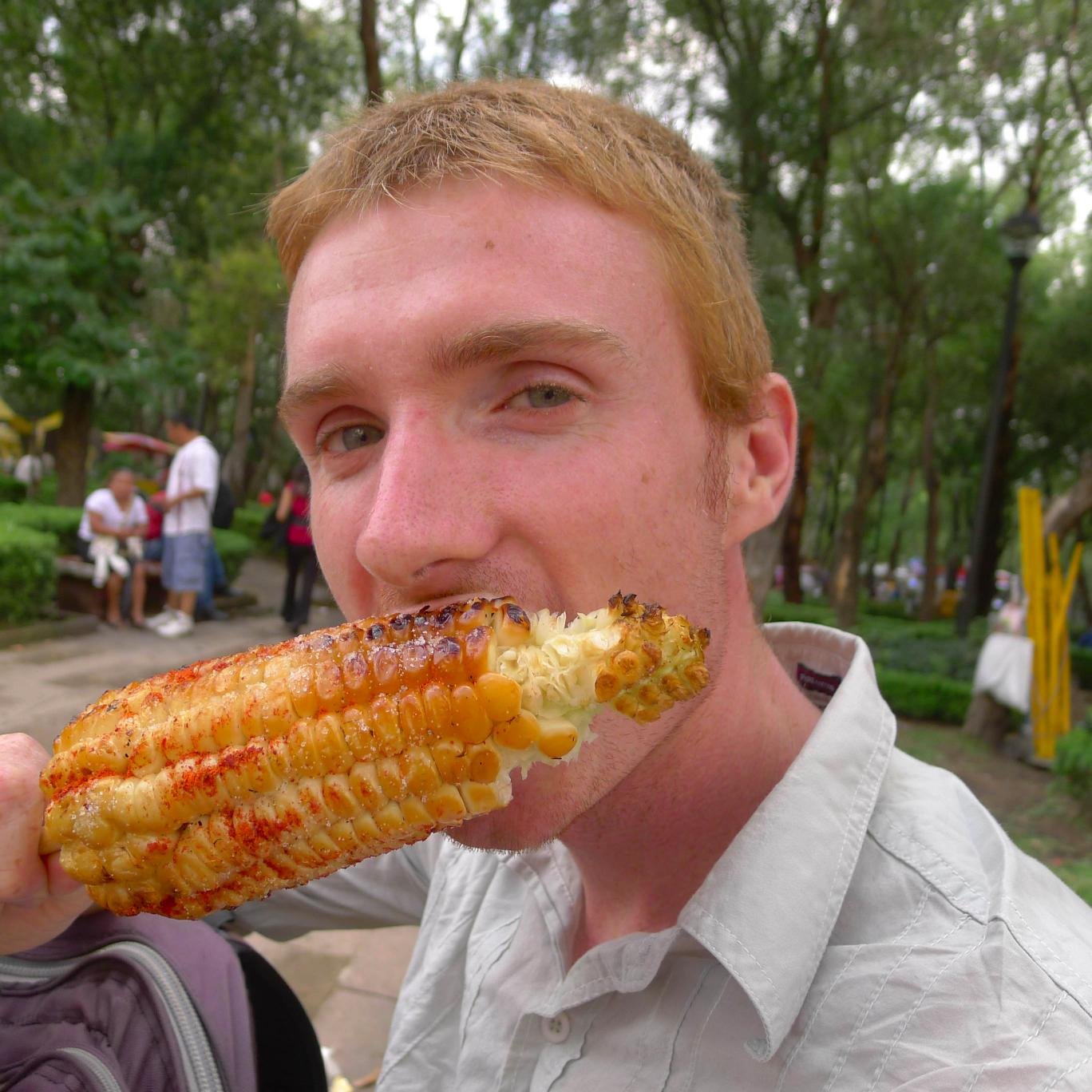 Writer, Agroecologist, Participatory Action Researcher