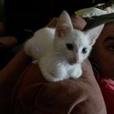 Mandy Albert - @highbabygirl - Twitter