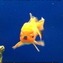 Gabriel Wright - @gabrielwright42 - Twitter