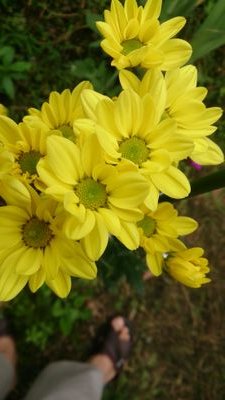 tarakopasta0519's profile picture. 