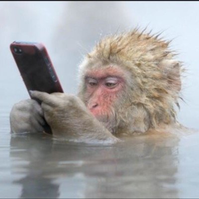 DanielFell's profile picture. 