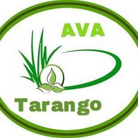 AVAtarango (@avatarango) 's Twitter Profile