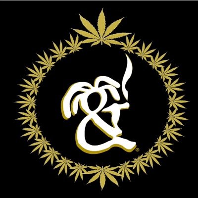 iandimexico's profile picture. 