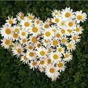 Paula Maxwell - @pmax1972 - Twitter