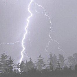 sadneptvne's profile picture. 