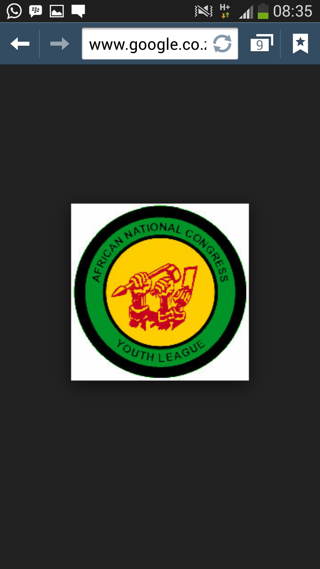 This is the official twitter page of the ANCYL in Gauteng.