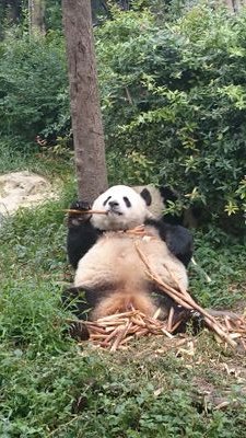 iolanda81's profile picture. 