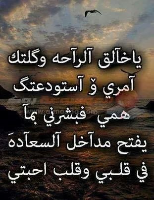 ‏‏‏‏‏خبيرالاعشامحمد العراقي متخصص تركيبات عقم النساء والمضايقات النسائية تركيبات مبيدات وممتعه للأزواج تفوق الخيال مسخنات نسائية وكل مشاكل الضعف الجنسي