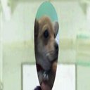 Abel Chaparro - @chaparroabel5 - Twitter