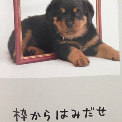 現在感じたことをありのままににつぶやいていきます(^_^)