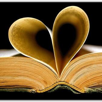 pakiwariko's profile picture. 