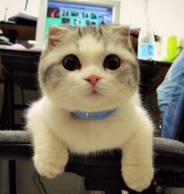 ileensokol's profile picture. 