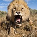 Wayne Giddings - @wayne_giddings - Twitter