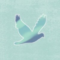bit (@bit) 's Twitter Profile
