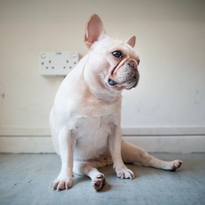 i_lovebokeh's profile picture. 