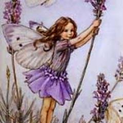 I am a member of the LDS church, which I am proud of. I love my grandchildren and  crafts, especially Card Making and Kinitting.