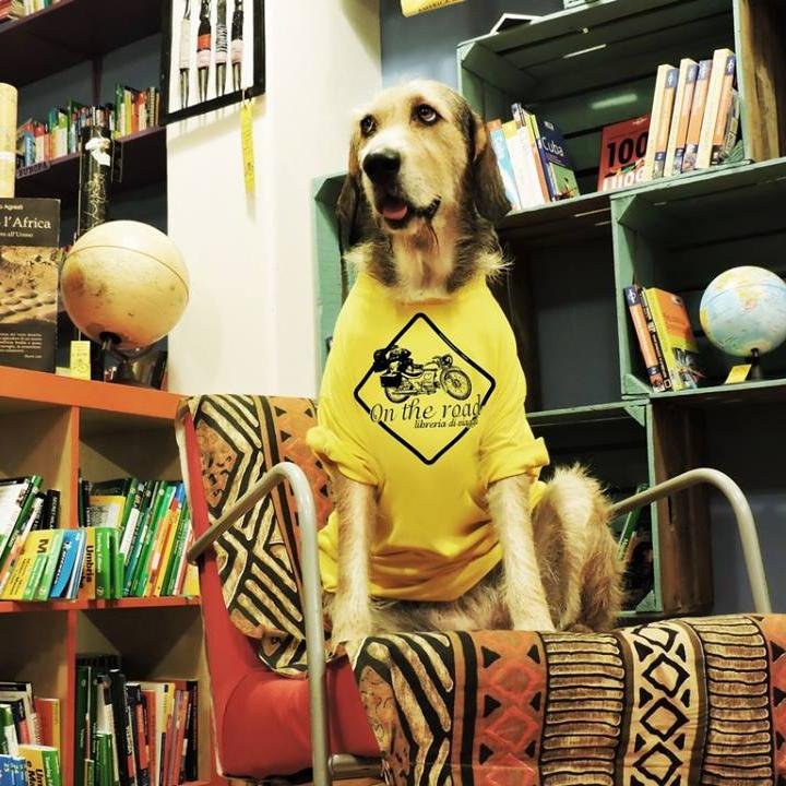 libreria specializzata in libri di viaggio, guide, cartografia, mappamondi planisferi..un piccolo salotto dove il viaggiatore può sognare futuri viaggi