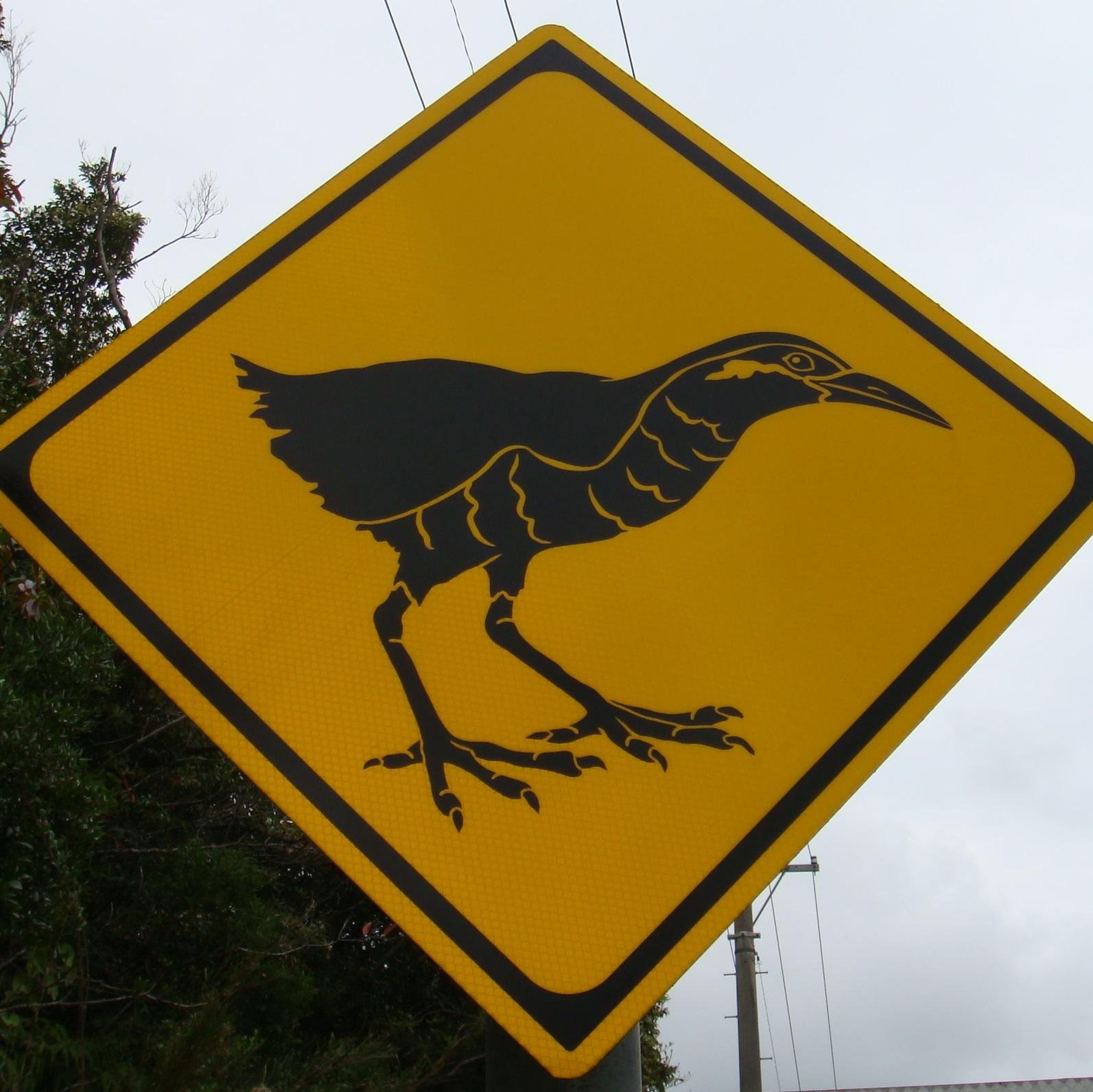 TtYukinohana's profile picture. 