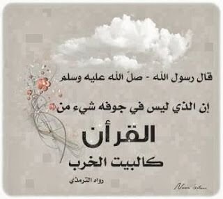 hadafy1's profile picture. 